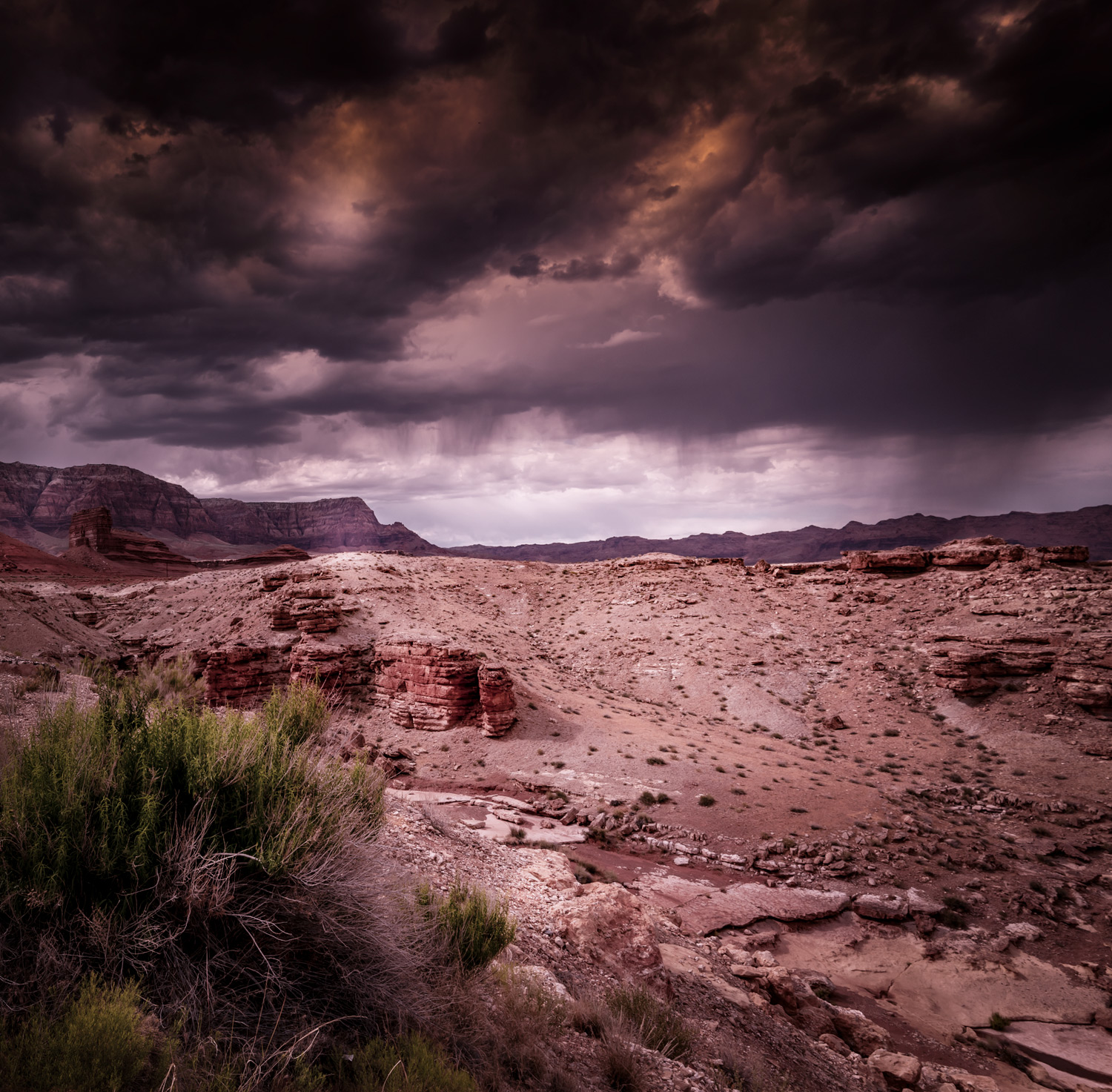 Somewhere in my mind